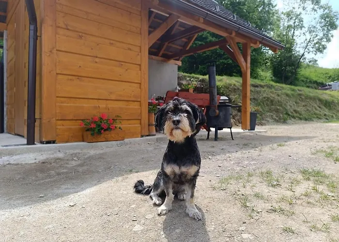 Horna U Bratrikov Haligovce